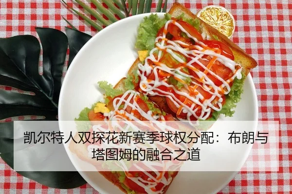 凯尔特人双探花新赛季球权分配：布朗与塔图姆的融合之道